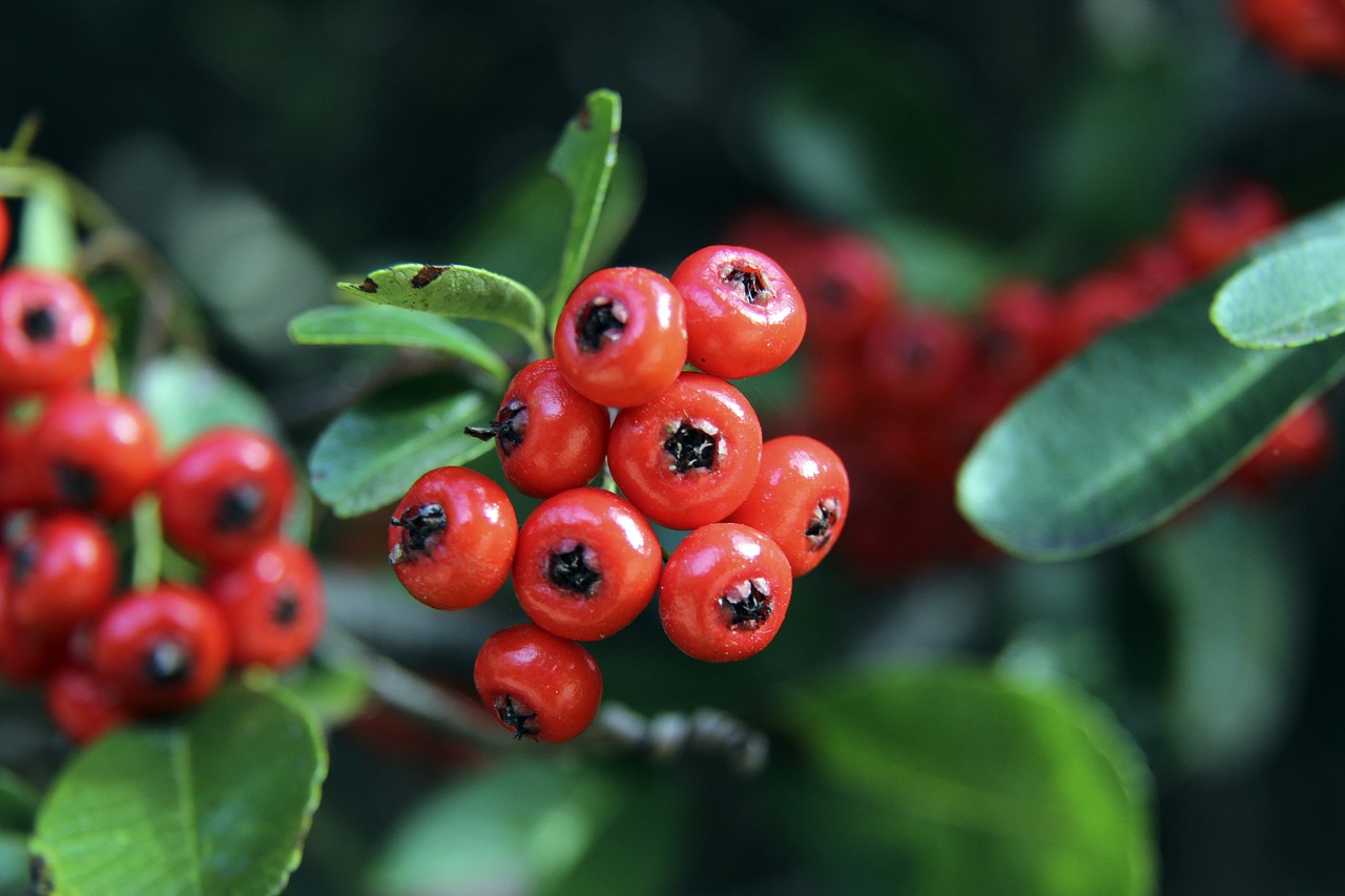 的竞争力 的竞争力