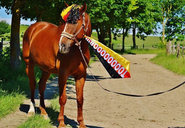 势控球后卫 势控球后卫