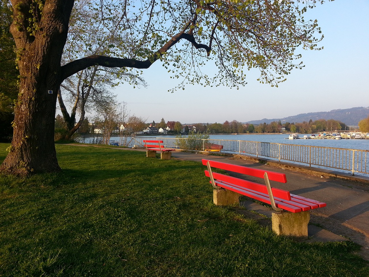 样的年轻球 样的年轻球