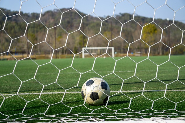 与其后的季 与其后的季