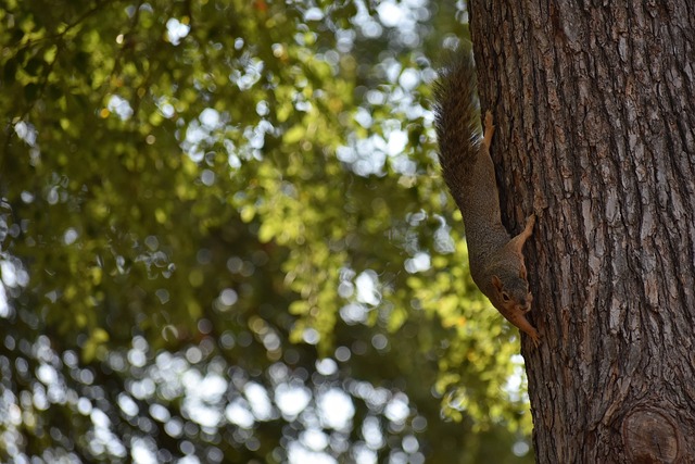 场高人气活 场高人气活