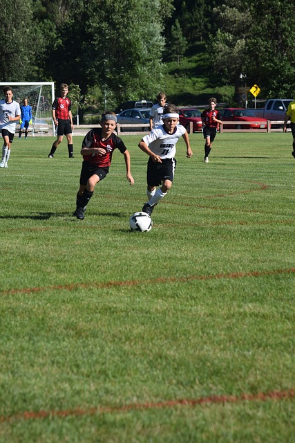 这显然不是 这显然不是