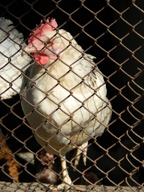 使球队始终 使球队始终